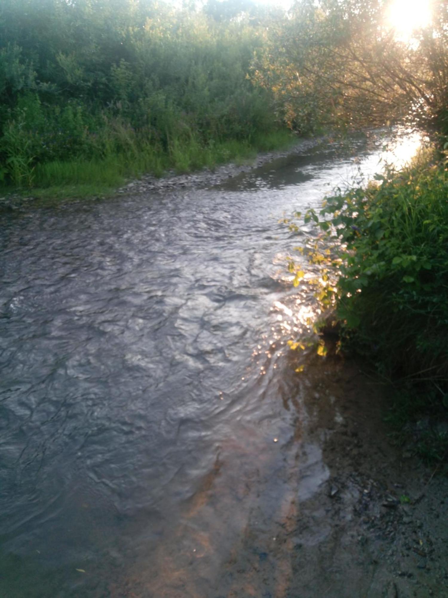 Holiday home Caloroczne Bieszczady *