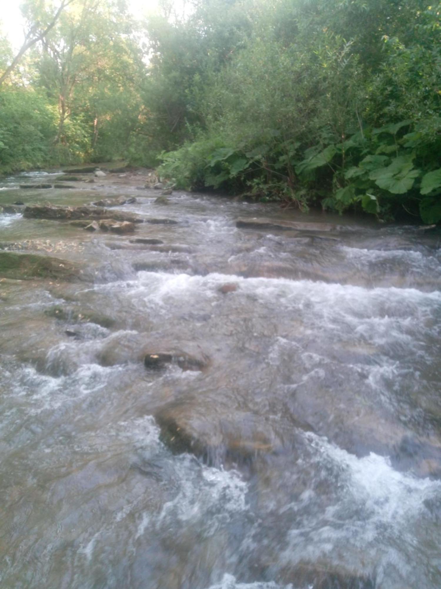 Caloroczne Bieszczady Holiday home Olszanica