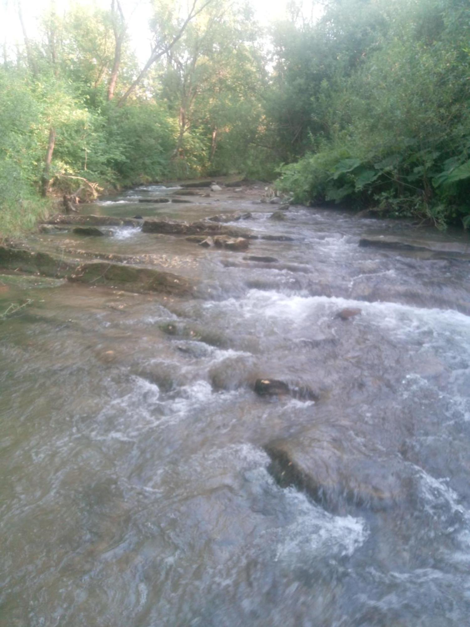 Caloroczne Bieszczady *